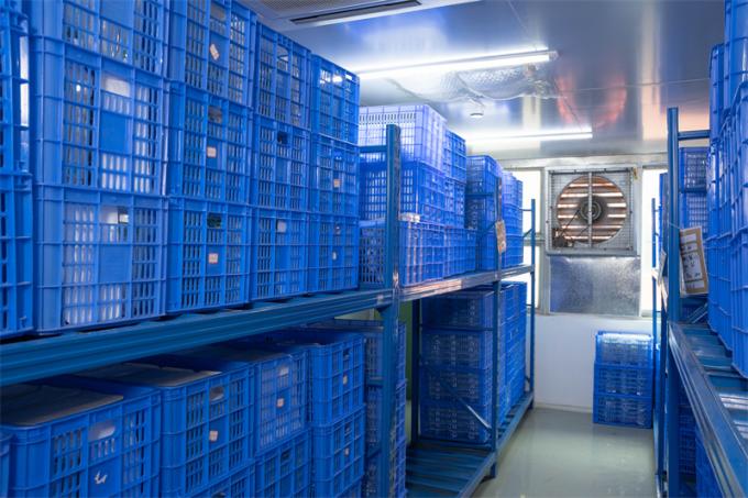 OEM 12 मिमी पेट सर्जिकल उपयोग हसन ट्रोकार डिस्पोजेबल लैप्रोस्कोपिक ट्रोकार 7