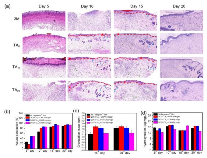 के बारे में नवीनतम कंपनी की खबर 'INT J BIOL MACROMOL'—SurgSci का पहला उच्च-स्तरीय SCI अनुच्छेद वर्ष 2023  3